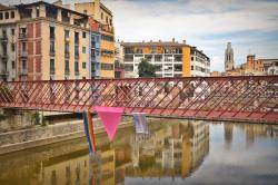 Les entitats LGTBI de Girona commemoren el Dia Internacional contra la LGTBIQ+Fòbia