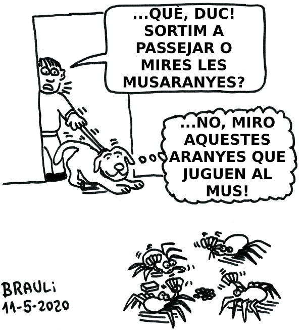 «Què, Duc! Sortim a passejar o...»