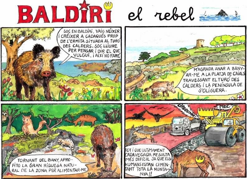 Baldiri el rebel