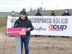 La CUP proposa una transició energètica equilibrada cap a les renovables que passi per la creació de xarxes de consum local.