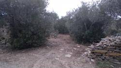 L'Assemblea per Cadaqués ha denunciat l'inici il·legal de les obres sense cap tipus de permís L'Assemblea per Cadaqués ha denunciat l'inici il·legal de les obres sense cap tipus de permís