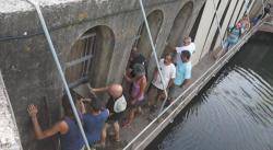 Acci&oacute; reivindicativa del 2017