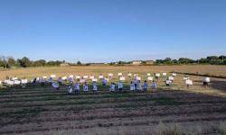 Plataforma veïnal del Prat de Llobregat per la defensa del territoriol de la imatge