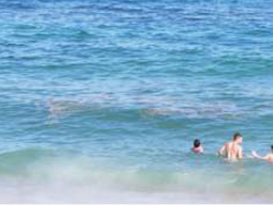 Platja del Cristall de Badalona. Bany en aigües marrons amb bandera verda. Font BadalonaMar