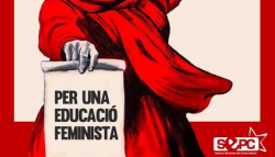 Vaga estudiantil a les universitats