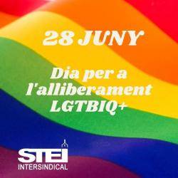 Dia per a l?Alliberament LGTBIQ+