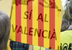 El valencià, llengua vehicular a l?ensenyament