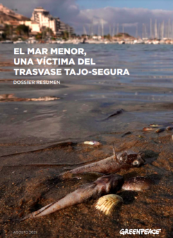 Segons un informe de Greenpeace la mort de milers de peixos és deguda a l'agricultura intensiva de la zona.