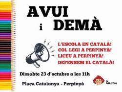 Manifestació a Perpinyà per reclamar a l'Ajuntament que no bloquegi el col·legi-liceu de La Bressola