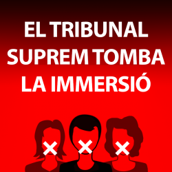 "El Tribunal Suprem Espanyol tomba la immersió i incompleix els compromisos internacionals"