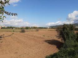 La CUP Mollet demanarà la nul·litat del projecte d'urbanització del Calderí