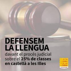 Plataforma per la Llengua demana personar-se en el procés judicial sobre el 25% de classes en castellà a les Illes