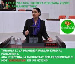 Turquia inicia el procés per retirar la immunitat a la diputada Feleknas Uca per haver pronunciat el mot 'Kurdistan'