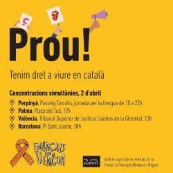 Catorze entitats s?enllacen per la llengua dissabte a la plaça del Tub de Palma