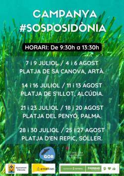 El GOB presenta la 4ª edició de la campanya SOS Posidònia