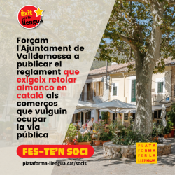 L'Ajuntament de Valldemossa rectifica i publica el nou reglament lingüístic 4 anys després de ser aprovat al ple municipal