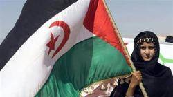 M&eacute;s per Mallorca reclama regularitzar els sahrau&iacute;s i reformar la llei d?estrangeria