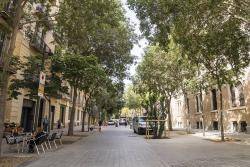 Un tram de l'eix verd del carrer del Consell de Cent. Foto: Josbel A. Tinoco-Ajuntament de Barcelona
