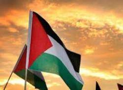 La CUP de Reus demana a l'Ajuntament que doni suport a Palestina