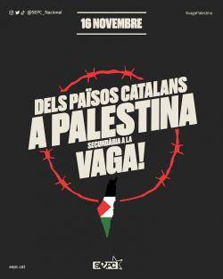 El SEPC fa una crida a fer vaga a secundària en suport al poble palestí