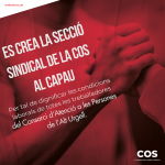 Creació de la secció sindical de la COS al Consorci d'Atenció a les Persones de l'Alt Urgell