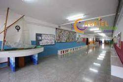 L?STEI denuncia que la Conselleria d?Educació incompleix la seva pròpia normativa