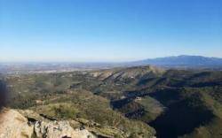 Grups ecologistes exigeixen la posada en marxa de l'Agència de la Natura de Catalunya