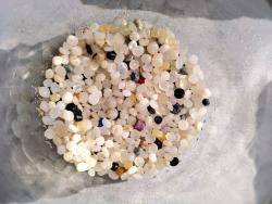 Mostra de pellets recollida pels nins i nines que participen en el seguiment Microplastic Whatchers.