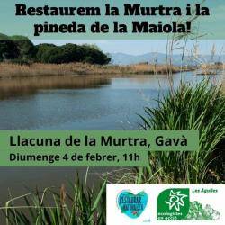 Acció reivindicativa i de voluntariat per restaurar la Murtra i la pineda de la Maiola de Gavà