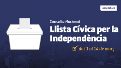 Els socis de l'ANC decidiran de l'1 al 14 de març si l'entitat impulsa la llista cívica