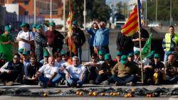 "Decidim està amb el camp valencià i les seues reivindicacions"