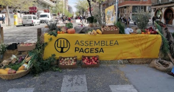 Reivindiquen a Lleida una pagesia de petita escala, local, autònoma i agroecològica