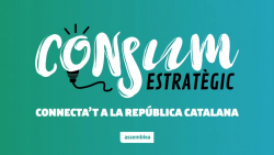 "La justícia espanyola prioritza el dret del mercat davant dels drets de la ciutadania"