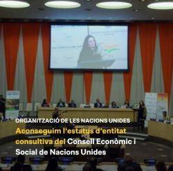 Plataforma per la Llengua aconsegueix l'estatus d'entitat consultiva de l'ONU
