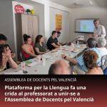 Plataforma per la Llengua fa una crida al professorat a unir-se a lAssemblea de Docents pel Valencià