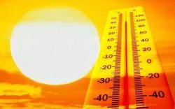 La CUP demana explicacions al Govern arran de la mort de treballadors en plena onada de calor