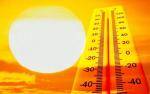La CUP demana explicacions al Govern arran de la mort de treballadors en plena onada de calor