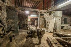 La Farga d?Aram, referent del patrimoni industrial català, en estat de degradació.