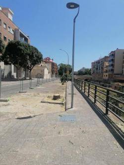 La federació Xarxa Vendrellenca considera que s?hauria d?haver fet un estudi per traslladar els arbres de la riera de la Bisbal