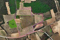 Es pot veure l?extensió del projecte i la seva proximitat amb la granja de porc, les oliveres i els Hàbitats d?Interès Comunitari.