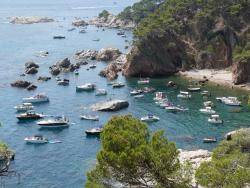 SOS Costa Brava denuncia la manca de protecció a les cales de Mont-ras després del robatori de balises