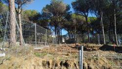 SOS Costa Brava celebra la sentència que declara nul del projecte d?urbanització de la pineda de la Fosca