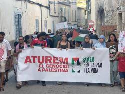 Més de 22.000 persones es mobilitzen a les Illes  contra el genocidi a Gaza