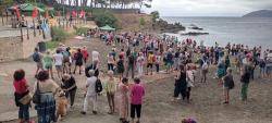 Unes 300 persones s'apleguen a la platja de la Farella per defensar l?última pineda litoral de Llançà