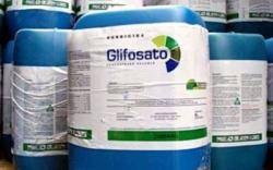 Ecologistes en Acció alerta que la UE vol multiplicar per 4.000 el glifosat permès en aigües