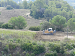 Obres malgrat l?ordre judicial