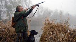 No a la cultura de la mort a les aules