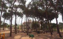 La lluita contra l?especulació urbanística que amenaça el jardí històric de Ca l?Arnús Badalona