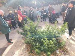 Sis recorreguts urbans per redescobrir la natura que habita la ciutat