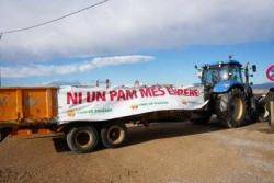 La pagesia ebrenca es mobilitza sis anys despr&eacute;s del Gl&ograve;ria per defensar el delta i l?arr&ograve;s